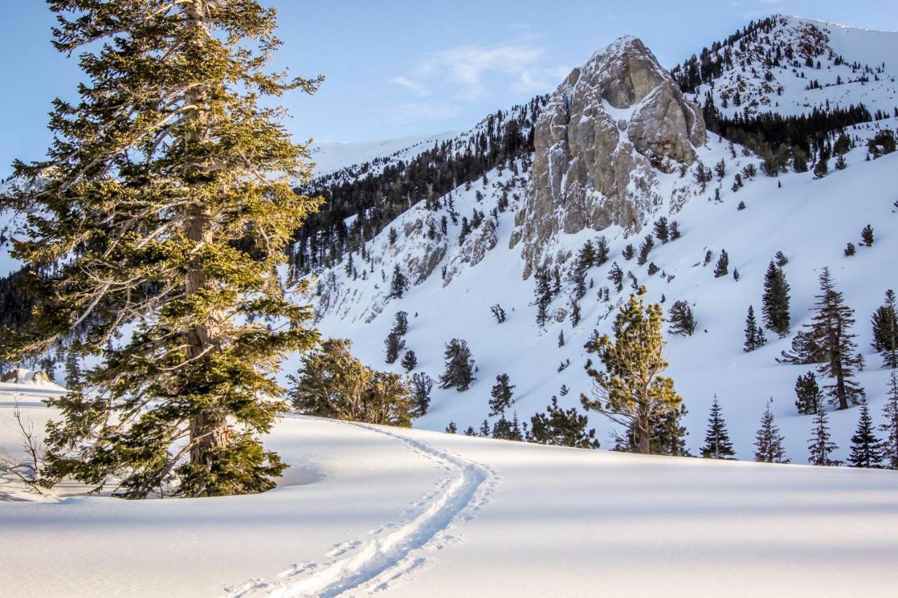 Willa Crestview Mammoth Lakes Zewnętrze zdjęcie