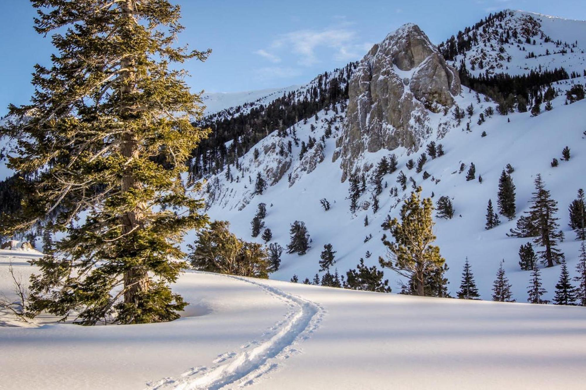 Willa Crestview Mammoth Lakes Pokój zdjęcie